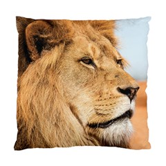 Big Male Lion Looking Right Standard Cushion Case (two Sides) by Ucco