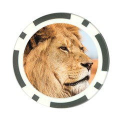 Big Male Lion Looking Right Poker Chip Card Guard (10 Pack) by Ucco