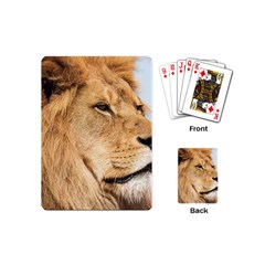 Big Male Lion Looking Right Playing Cards (mini)  by Ucco