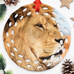 Big Male Lion Looking Right Round Filigree Ornament (two Sides) by Ucco