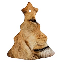 Big Male Lion Looking Right Christmas Tree Ornament (two Sides) by Ucco