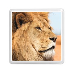 Big Male Lion Looking Right Memory Card Reader (square) 