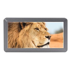 Big Male Lion Looking Right Memory Card Reader (mini) by Ucco