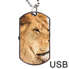 Big Male Lion Looking Right Dog Tag Usb Flash (two Sides) by Ucco