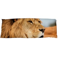 Big Male Lion Looking Right Body Pillow Case (dakimakura) by Ucco