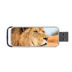 Big Male Lion Looking Right Portable Usb Flash (two Sides) by Ucco