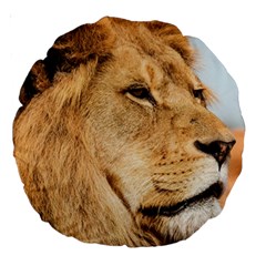 Big Male Lion Looking Right Large 18  Premium Round Cushions by Ucco