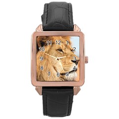 Big Male Lion Looking Right Rose Gold Leather Watch  by Ucco