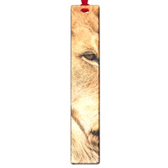 Big Male Lion Looking Right Large Book Marks by Ucco