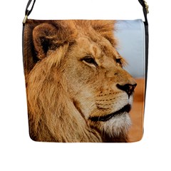 Big Male Lion Looking Right Flap Messenger Bag (l)  by Ucco