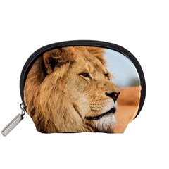 Big Male Lion Looking Right Accessory Pouches (small)  by Ucco