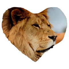 Big Male Lion Looking Right Large 19  Premium Flano Heart Shape Cushions by Ucco