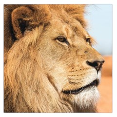 Big Male Lion Looking Right Large Satin Scarf (square) by Ucco