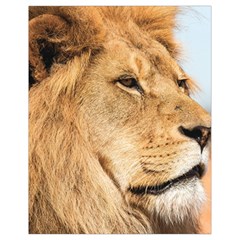 Big Male Lion Looking Right Drawstring Bag (small) by Ucco