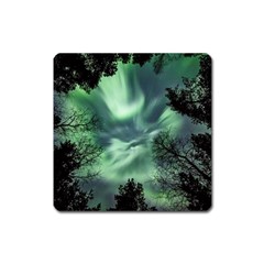 Northern Lights In The Forest Square Magnet by Ucco