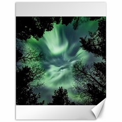 Northern Lights In The Forest Canvas 12  X 16   by Ucco