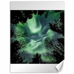 Northern Lights In The Forest Canvas 36  X 48   by Ucco