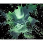 Northern lights in the forest Deluxe Canvas 14  x 11  14  x 11  x 1.5  Stretched Canvas