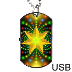 Christmas Star Fractal Symmetry Dog Tag Usb Flash (one Side) by Celenk