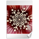 Background Star Red Abstract Canvas 20  x 30   19.62 x28.9  Canvas - 1