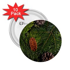 Branch Christmas Cone Evergreen 2 25  Buttons (10 Pack)  by Celenk