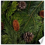 Branch Christmas Cone Evergreen Canvas 16  x 16   15.2 x15.41  Canvas - 1