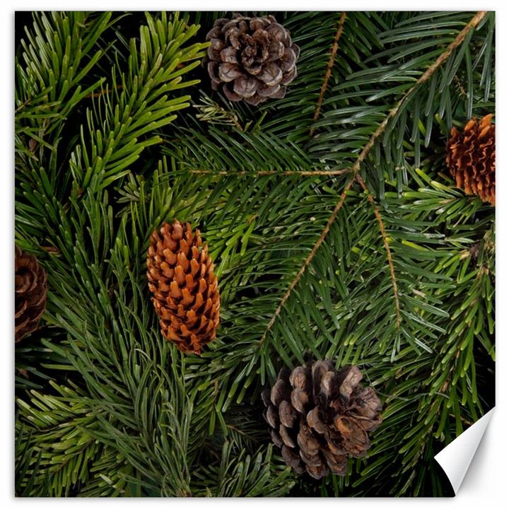 Branch Christmas Cone Evergreen Canvas 16  x 16  