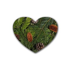 Branch Christmas Cone Evergreen Heart Coaster (4 Pack)  by Celenk