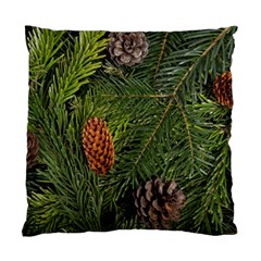 Branch Christmas Cone Evergreen Standard Cushion Case (two Sides) by Celenk