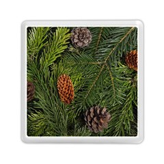 Branch Christmas Cone Evergreen Memory Card Reader (square)  by Celenk