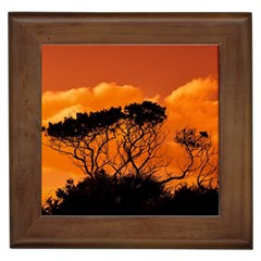 Trees Branches Sunset Sky Clouds Framed Tiles by Celenk