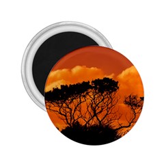 Trees Branches Sunset Sky Clouds 2 25  Magnets by Celenk