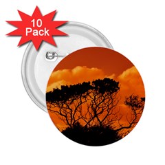 Trees Branches Sunset Sky Clouds 2 25  Buttons (10 Pack)  by Celenk