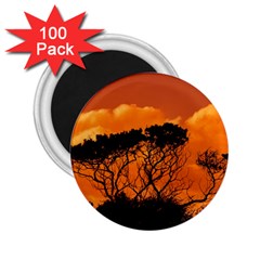 Trees Branches Sunset Sky Clouds 2 25  Magnets (100 Pack) 