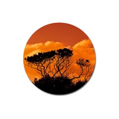 Trees Branches Sunset Sky Clouds Magnet 3  (round) by Celenk