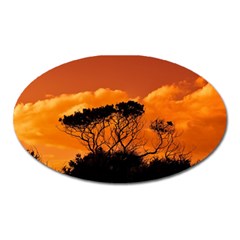 Trees Branches Sunset Sky Clouds Oval Magnet by Celenk