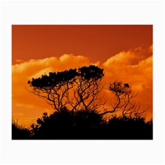 Trees Branches Sunset Sky Clouds Small Glasses Cloth by Celenk