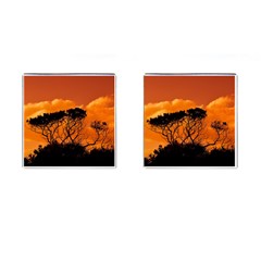 Trees Branches Sunset Sky Clouds Cufflinks (square) by Celenk