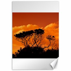 Trees Branches Sunset Sky Clouds Canvas 12  X 18   by Celenk