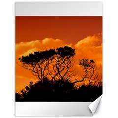 Trees Branches Sunset Sky Clouds Canvas 18  X 24   by Celenk