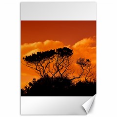 Trees Branches Sunset Sky Clouds Canvas 24  X 36  by Celenk