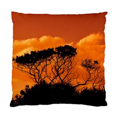 Trees Branches Sunset Sky Clouds Standard Cushion Case (two Sides) by Celenk