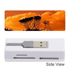 Trees Branches Sunset Sky Clouds Memory Card Reader (stick)  by Celenk