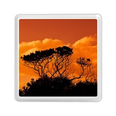 Trees Branches Sunset Sky Clouds Memory Card Reader (square)  by Celenk