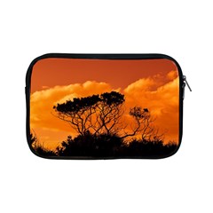 Trees Branches Sunset Sky Clouds Apple Ipad Mini Zipper Cases by Celenk