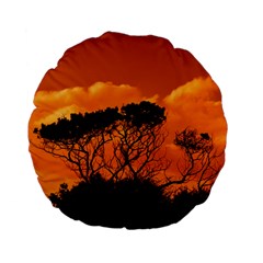 Trees Branches Sunset Sky Clouds Standard 15  Premium Flano Round Cushions by Celenk