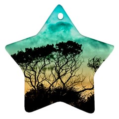 Trees Branches Branch Nature Star Ornament (two Sides) by Celenk