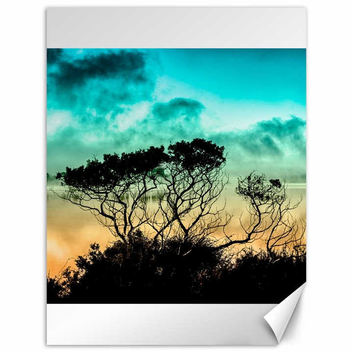 Trees Branches Branch Nature Canvas 12  x 16  