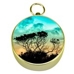 Trees Branches Branch Nature Gold Compasses Front