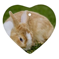 Beautiful Blue Eyed Bunny On Green Grass Ornament (heart)